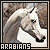 Araberpferde